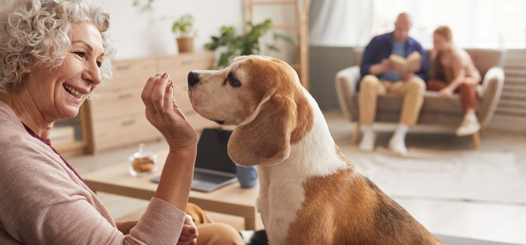 Pet Hospitality